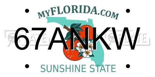 67ANKW Florida License Plate