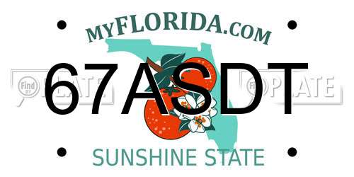 67ASDT Florida License Plate