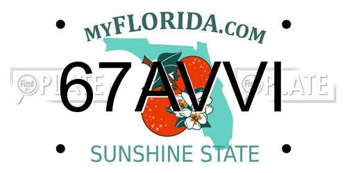 67AVVI Florida License Plate