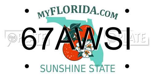 67AWSI Florida License Plate