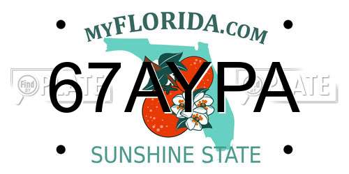67AYPA Florida License Plate