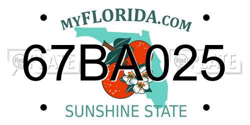 67BA025 Florida License Plate