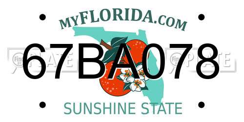 67BA078 Florida License Plate