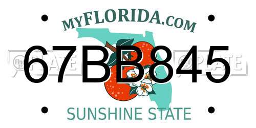 67BB845 Florida License Plate