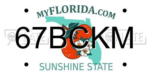 67BCKM Florida License Plate