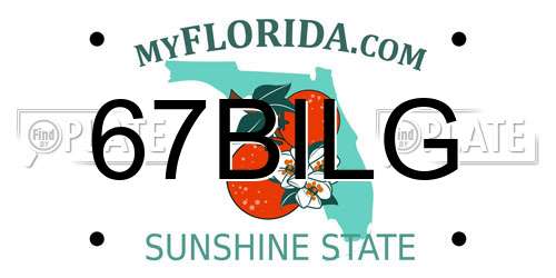67BILG Florida License Plate
