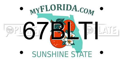 67BLTI Florida License Plate