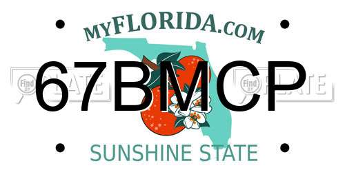 67BMCP Florida License Plate