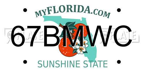 67BMWC Florida License Plate