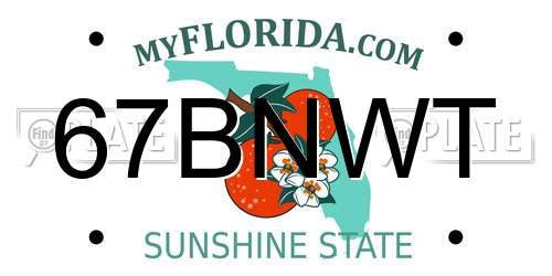 67BNWT Florida License Plate