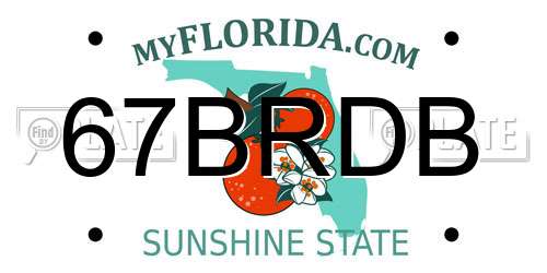 67BRDB Florida License Plate