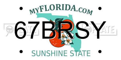 67BRSY Florida License Plate