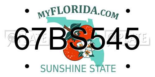 67BS545 Florida License Plate