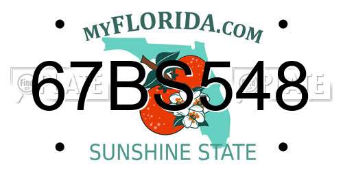 67BS548 Florida License Plate