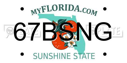 67BSNG Florida License Plate