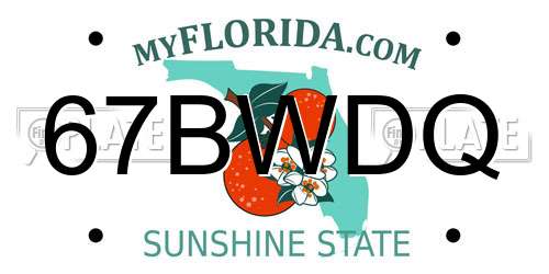 67BWDQ Florida License Plate