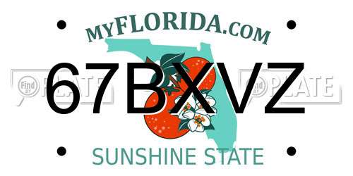 67BXVZ Florida License Plate