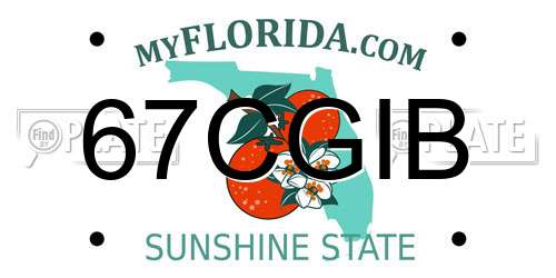67CGIB Florida License Plate