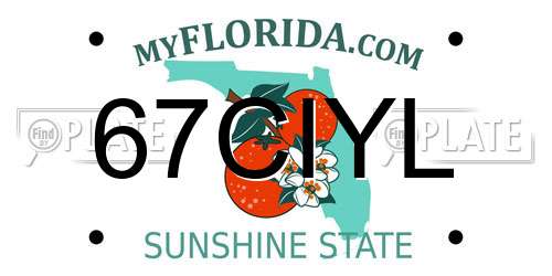 67CIYL Florida License Plate