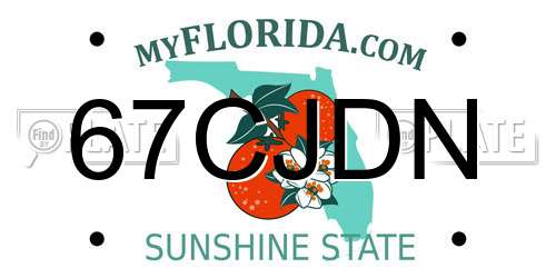 67CJDN Florida License Plate