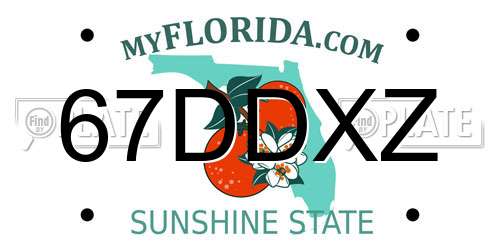 67DDXZ Florida License Plate