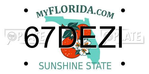 67DEZI Florida License Plate