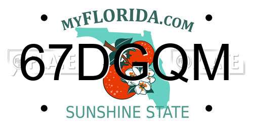 67DGQM Florida License Plate