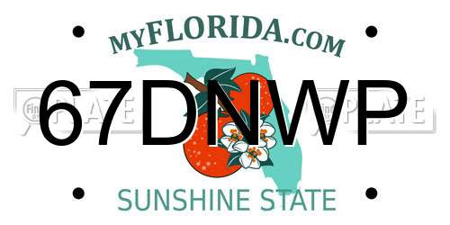 67DNWP Florida License Plate