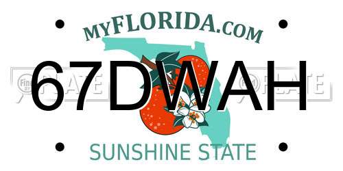 67DWAH Florida License Plate