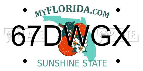 67DWGX Florida License Plate