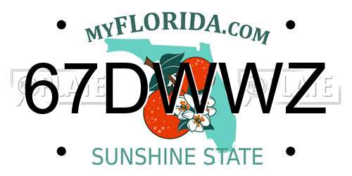 67DWWZ Florida License Plate