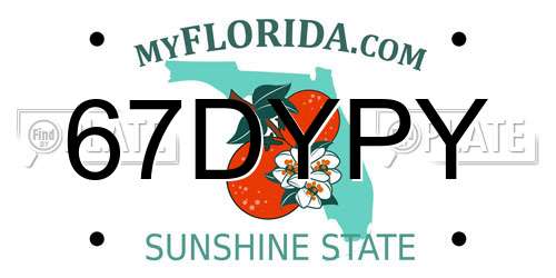 67DYPY Florida License Plate