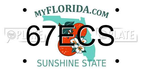 67ECS Florida License Plate