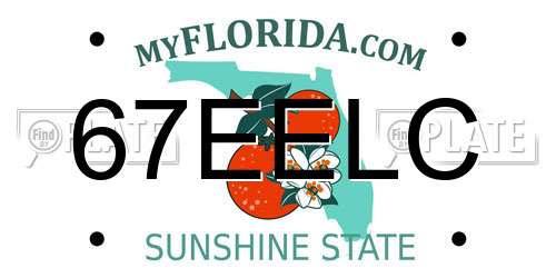 67EELC Florida License Plate