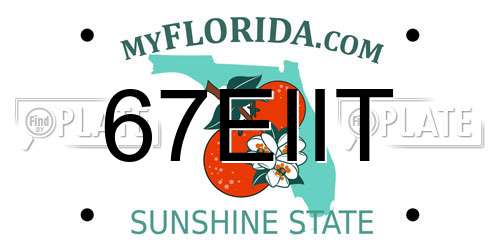 67EIIT Florida License Plate