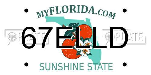 67ELLD Florida License Plate