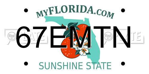 67EMTN Florida License Plate