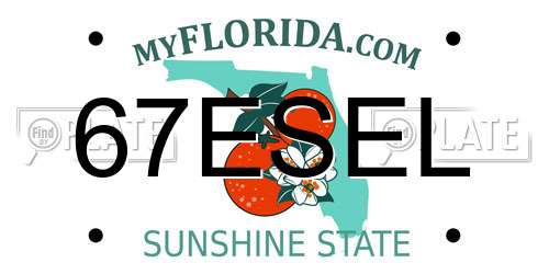 67ESEL Florida License Plate