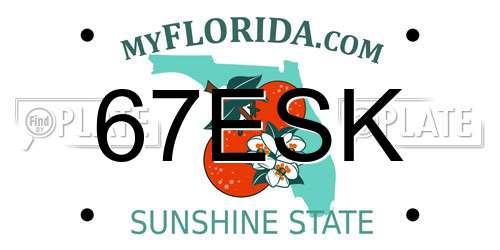 67ESK Florida License Plate