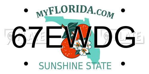 67EWDG Florida License Plate