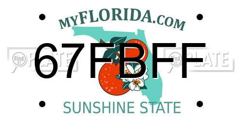 67FBFF Florida License Plate