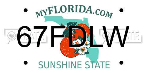 67FDLW Florida License Plate