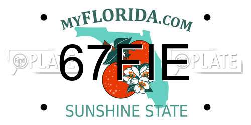 67FIE Florida License Plate