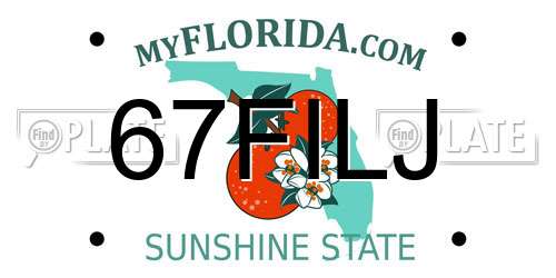 67FILJ Florida License Plate