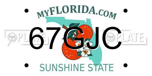 67GJC Florida License Plate