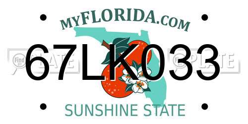 67LK033 Florida License Plate