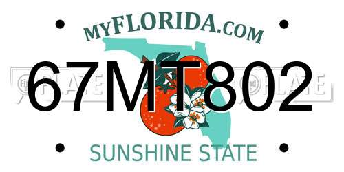 67MT802 Florida License Plate