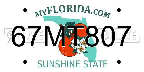 67MT807 Florida License Plate