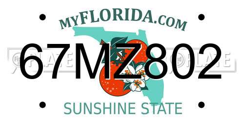 67MZ802 Florida License Plate
