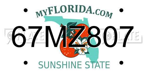 67MZ807 Florida License Plate